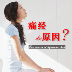 ʹ����ԭ��