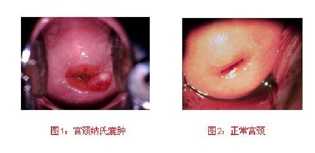 ��������������ʲô��