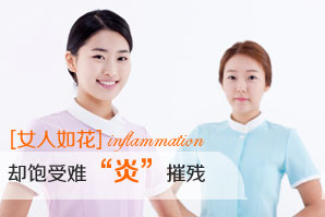 Ů���绨��ȴ�����ѡ��ס��ݲ�