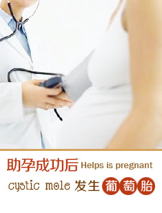 ���гɹ���������̥