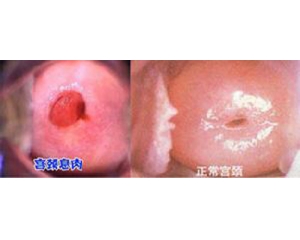 ����Ϣ���ͼƬ