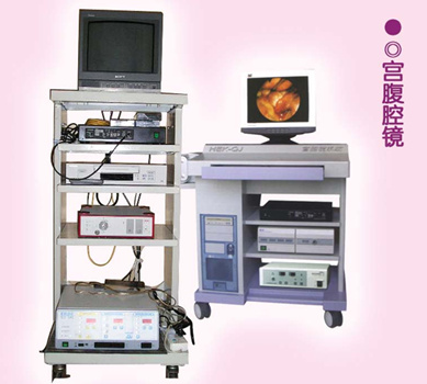 �¹�wolf����ǻ��