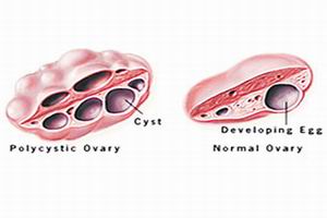 �����ѳ�ͼƬ����