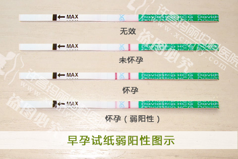 ������ֽ���������ǻ�����