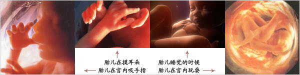 ��������ҽԺ��ά�ʳ�